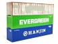 Preview: 066730-002 Zubehör: TT Container Set "Evergreen/Hanjin/gealtert" Herpa 1:120 Spur TT